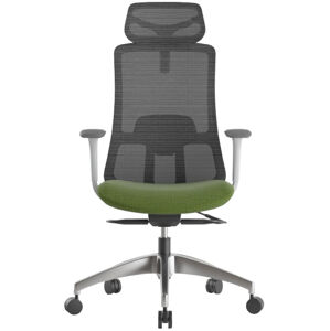 MERCURY Kancelářská židle WISDOM, šedý plast, zelená