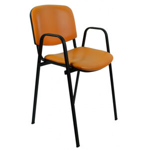ALBA seniorská židle ISO 55 se zvýšeným sedem