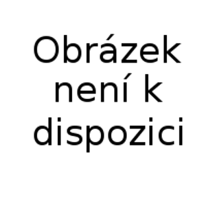 GUMÁRNY ZUBŘÍ TUNEL ČERNÝ, ŠKODA ROOMSTER (2006-), č. 219817BAL