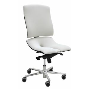ÁSANA kancelářská židle Steel Standard